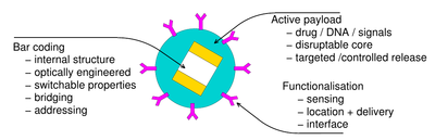 BNC diagram.png